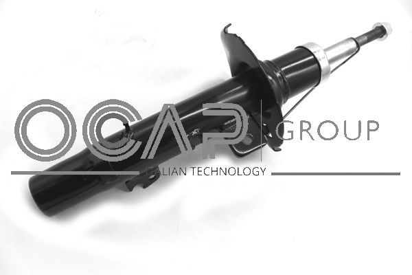 Shock Absorber (82901FR)