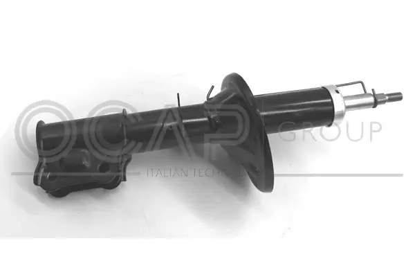 Shock Absorber (82243FR)