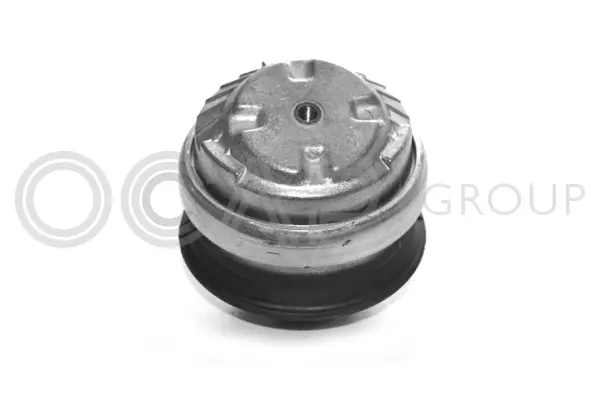 Mounting, engine (1225321)