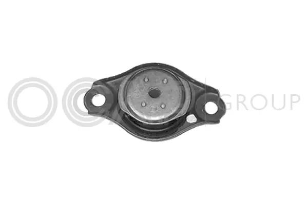 Mounting, engine (1225823)
