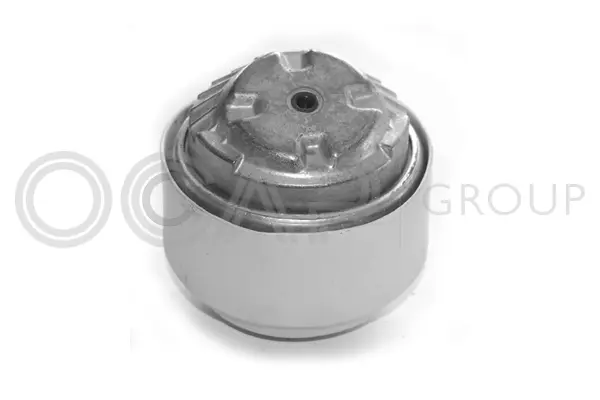 Mounting, engine (1225339)