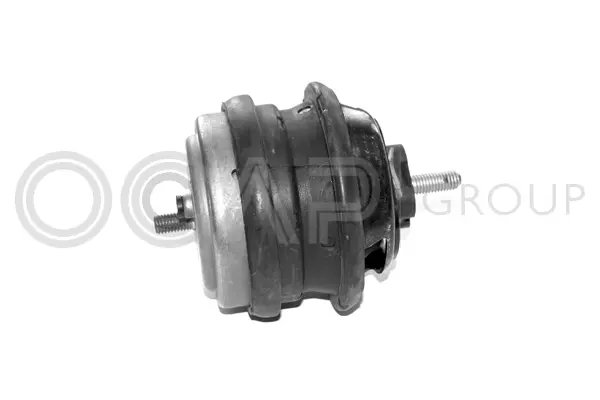 Mounting, engine (1225125)
