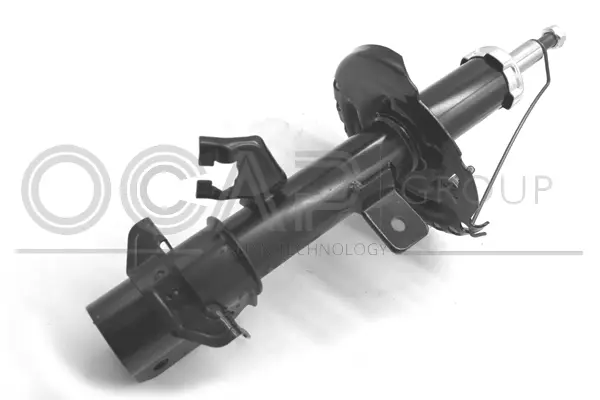 Shock Absorber (82202FR)