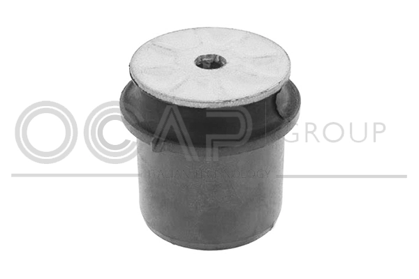 Bushing, axle beam (1216451)
