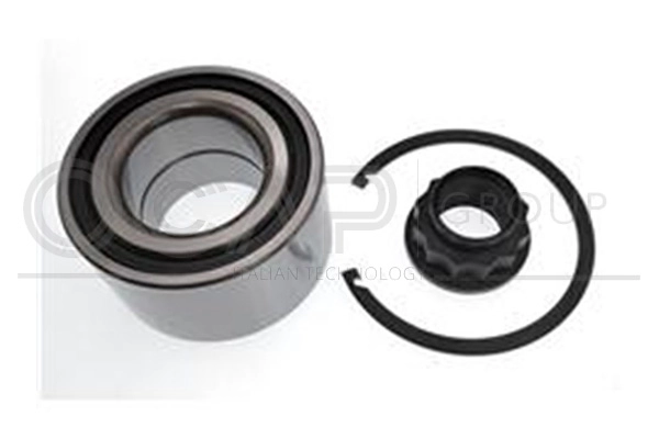 Wheel Bearing Kit (6120246)