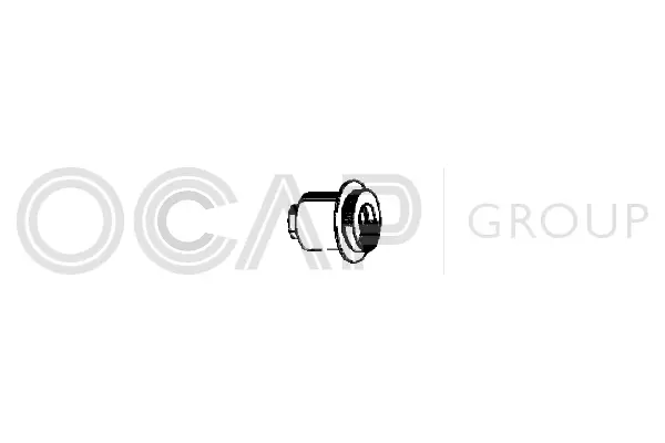 Bushing, axle beam (1215107)