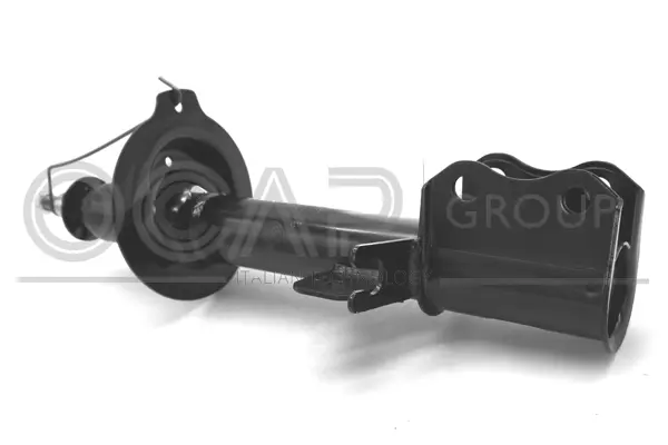 Shock Absorber (82418RL)