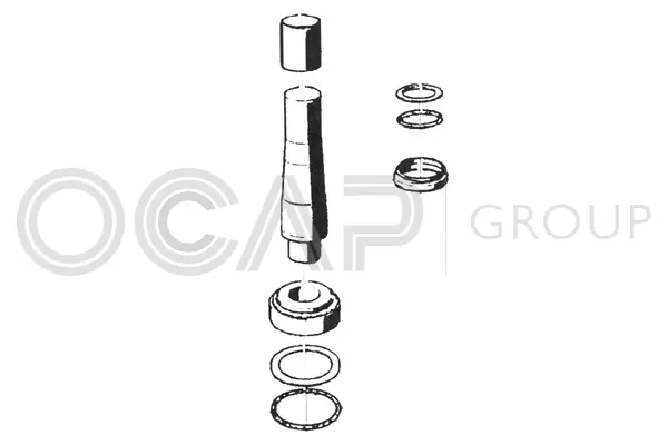 Repair Kit, kingpin (0927455)