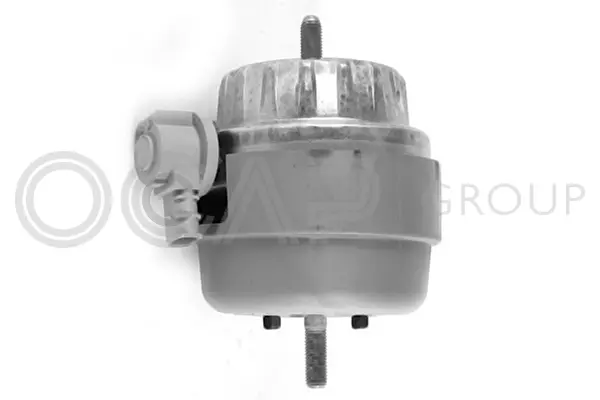 Mounting, engine (1226321)