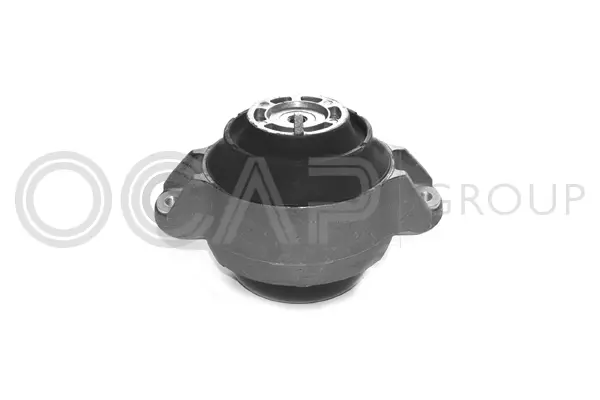 Mounting, engine (1225333)