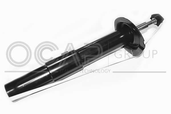 Shock Absorber (82480FL)