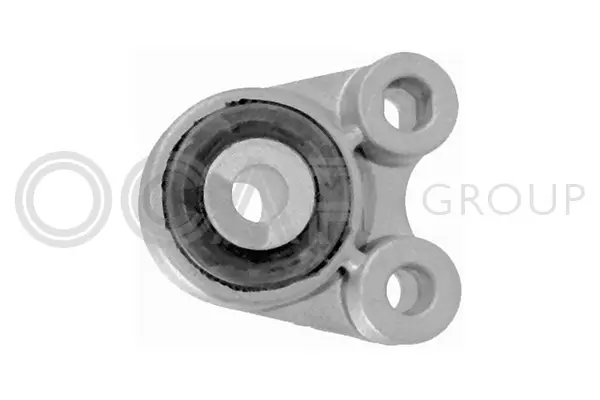 Holder, engine mounting system (1226303)