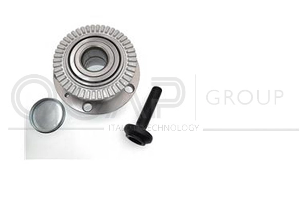 Wheel Bearing Kit (6120250)