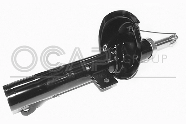 Shock Absorber (82428FL)