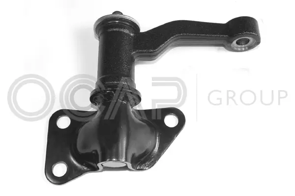 Steering Arm (0303259)