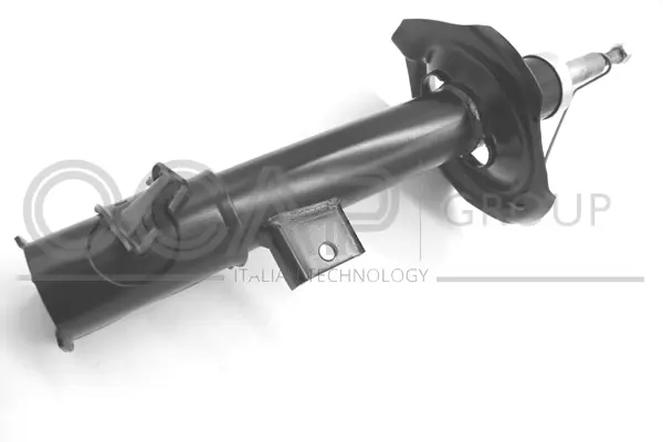 Shock Absorber (82434RR)