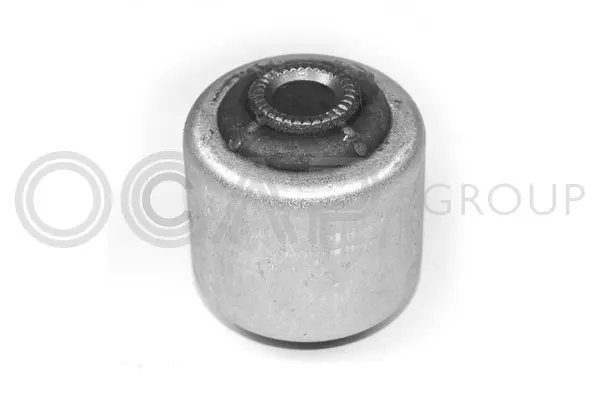 Mounting, control/trailing arm (1215253)