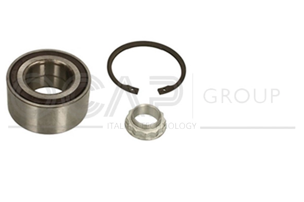 Wheel Bearing Kit (6120264)
