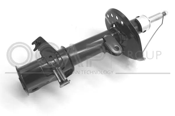 Shock Absorber (82293FR)