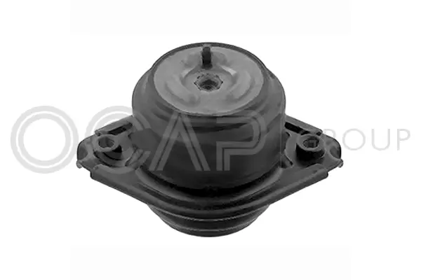 Mounting, engine (1226202)