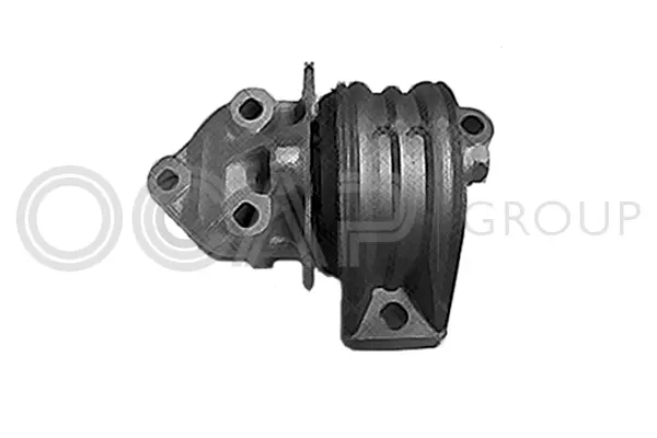 Mounting, engine (1226009)