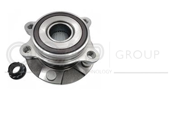 Wheel Bearing Kit (6120300)