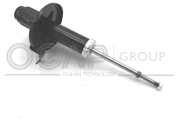 Shock Absorber (82424FR)