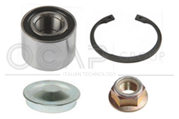 Wheel Bearing Kit (6120100)