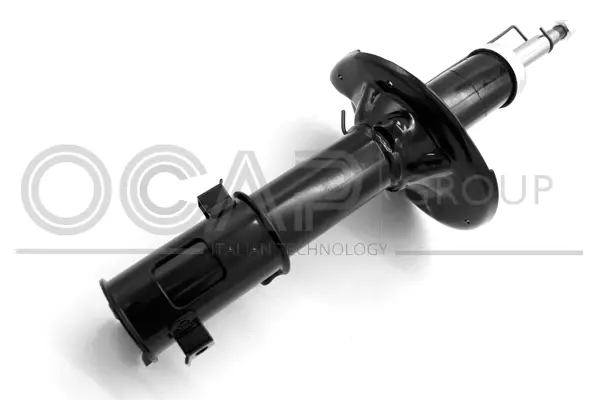 Shock Absorber (82489FR)