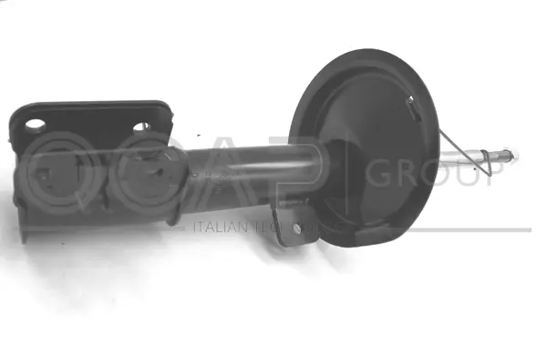 Shock Absorber (82403FR)