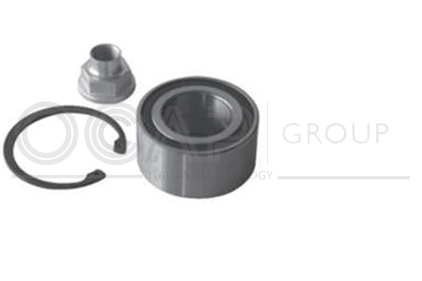 Wheel Bearing Kit (6120292)
