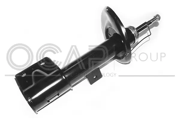 Shock Absorber (82641FR)