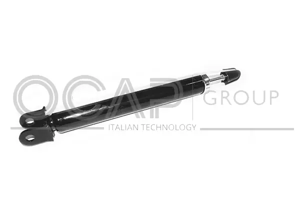 Shock Absorber (82346RU)