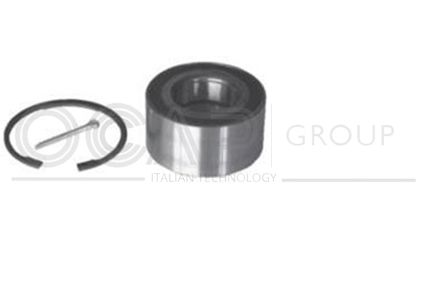 Wheel Bearing Kit (6120209)