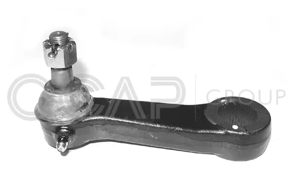 Steering Arm (0303491)