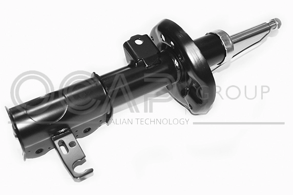Shock Absorber (82477FL)