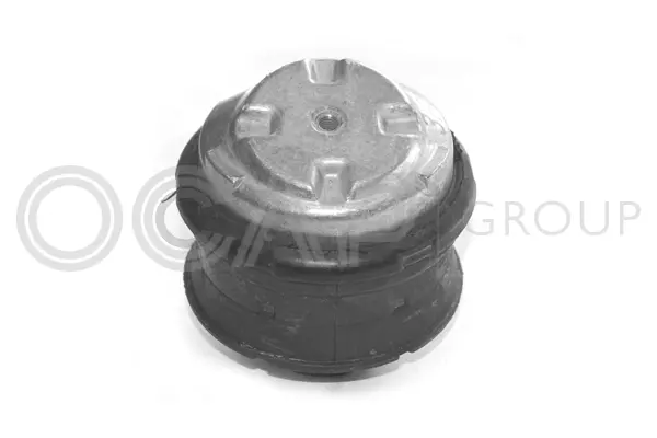 Mounting, engine (1225311)