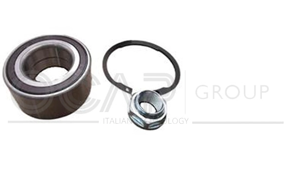 Wheel Bearing Kit (6120391)