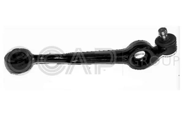 Control/Trailing Arm, wheel suspension (0393007)