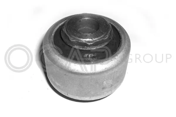 Mounting, control/trailing arm (1215723)