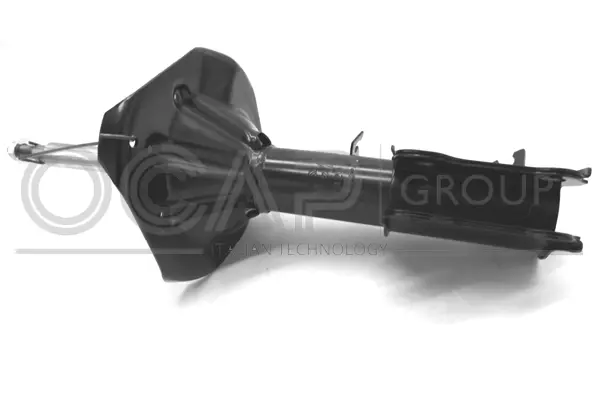 Shock Absorber (82429FR)