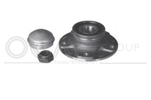 Wheel Bearing Kit (6110103)