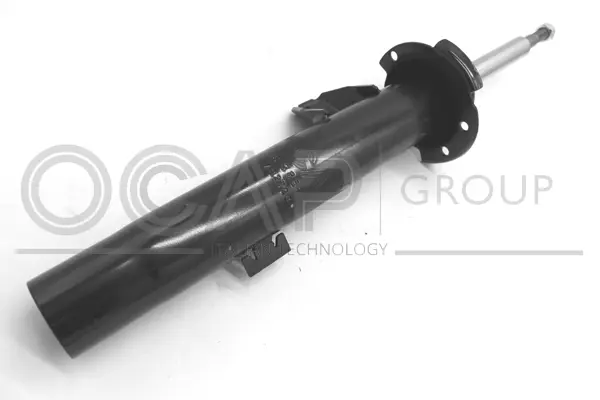Shock Absorber (82385FR)
