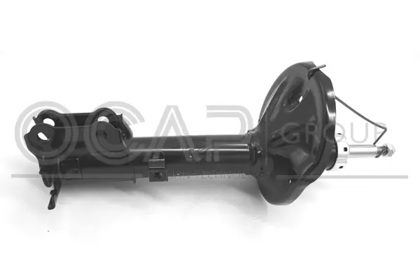 Shock Absorber (82483RR)