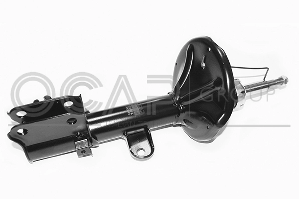 Shock Absorber (82495FL)