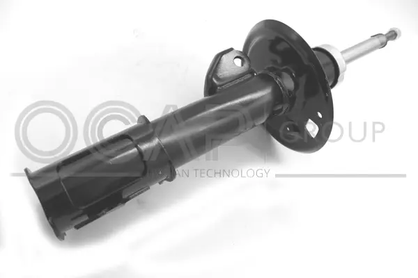 Shock Absorber (82252FR)