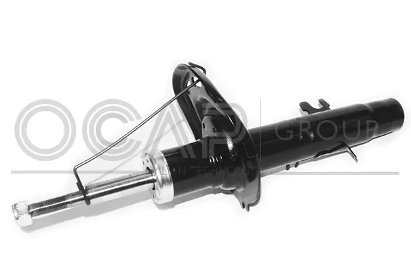 Shock Absorber (82657FL)