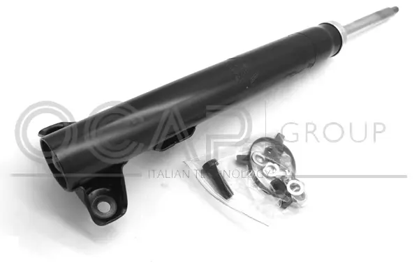 Shock Absorber (82233FU)