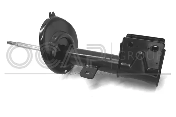 Shock Absorber (82075FR)
