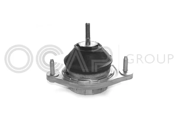 Mounting, engine (1225021)